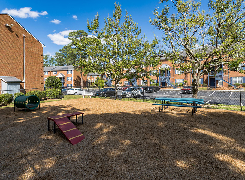 dog park