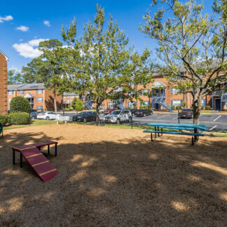 dog park